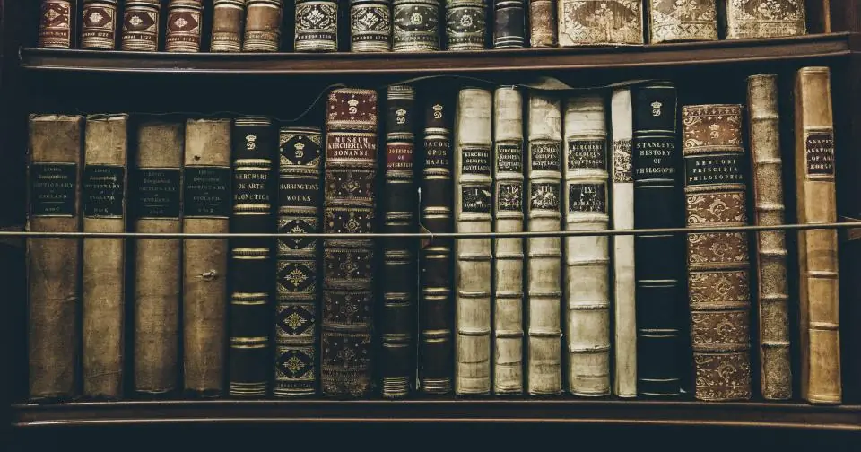 Shelf of old leather-bound books