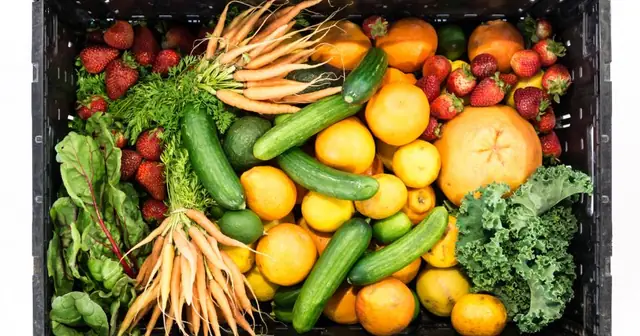 Crate of fresh, colorful vegetables